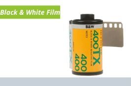 Black and White Film Developing and Printing